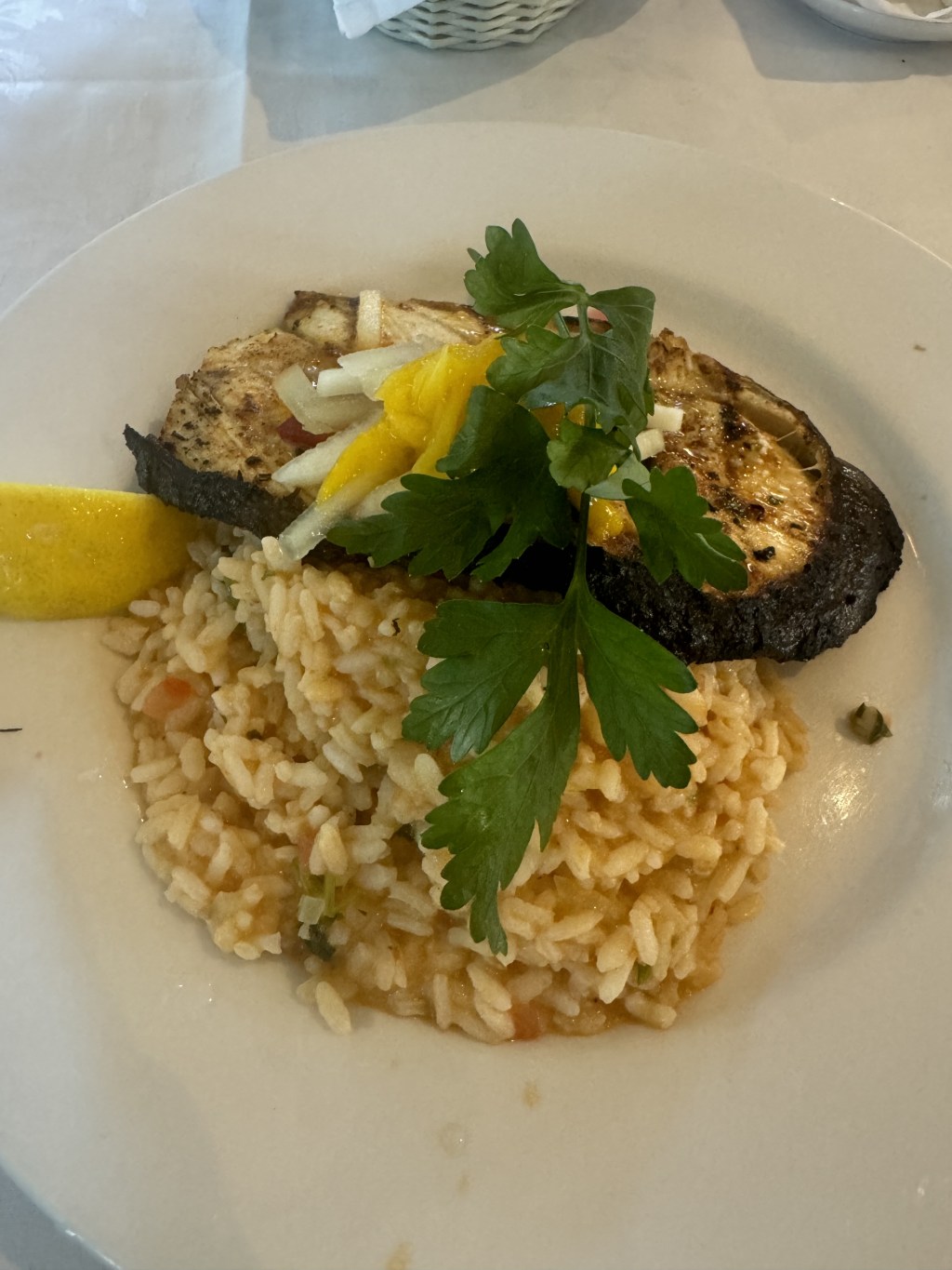 Leão d’Ouro, Mississauga