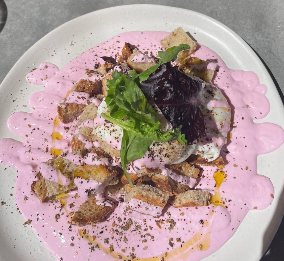 Madame Levant, Toronto